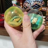 Máy Gachapon bán ảnh thẻ của người lạ ngẫu nhiên